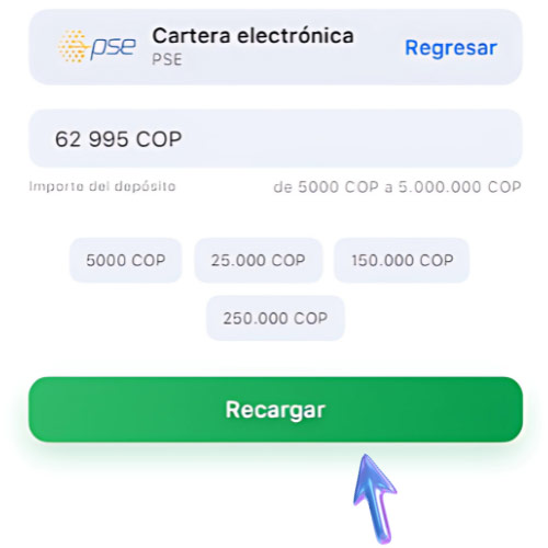 Instrucción Introduzca los datos financieros