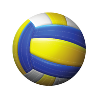 Icono Voleibol
